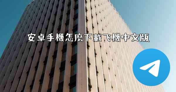 安卓手機怎麼下載飞機中文版