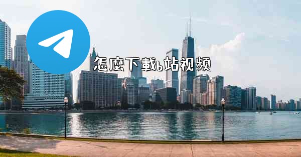 怎麼下載b站视频