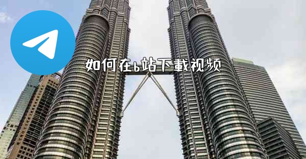如何在b站下載视频
