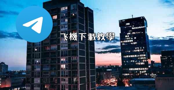 飞機下載教學