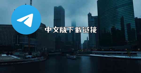 中文版下載链接