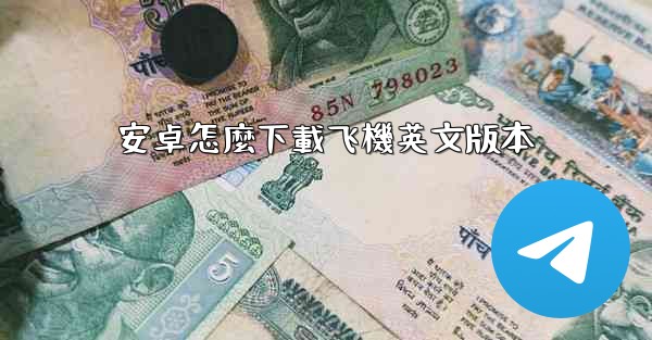 安卓怎麼下載飞機英文版本