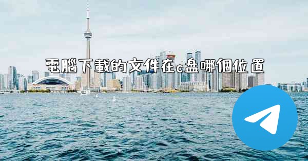 電腦下載的文件在c盘哪個位置