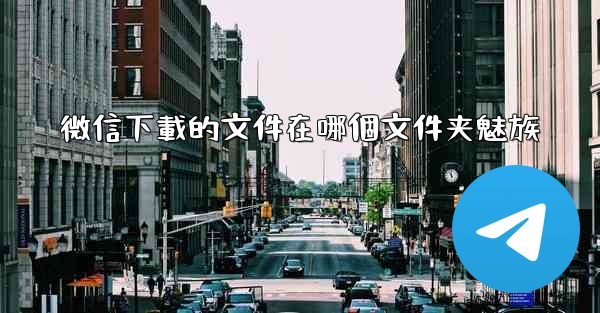 微信下載的文件在哪個文件夹魅族