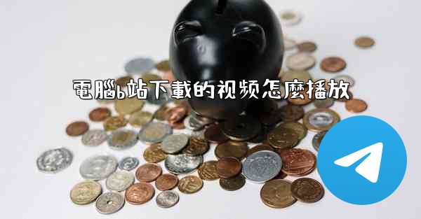 電腦b站下載的视频怎麼播放