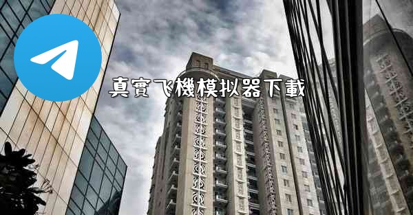 真實飞機模拟器下載