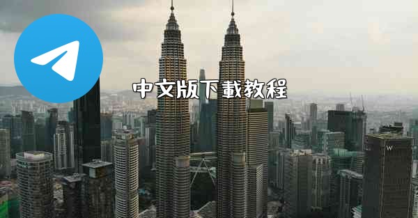 中文版下載教程