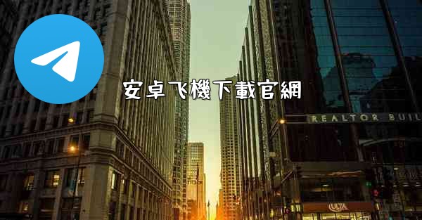 安卓飞機下載官網