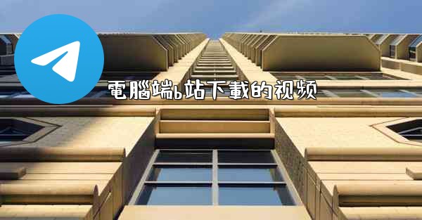 電腦端b站下載的视频