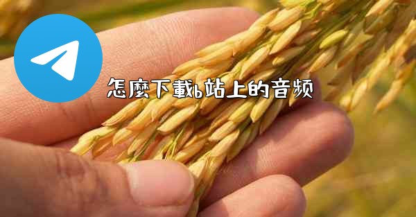 怎麼下載b站上的音频