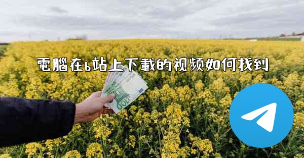 電腦在b站上下載的视频如何找到