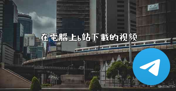 在電腦上b站下載的视频