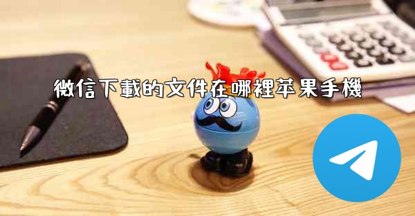 微信下載的文件在哪裡苹果手機