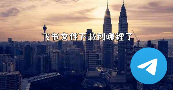 飞书文件下載到哪裡了