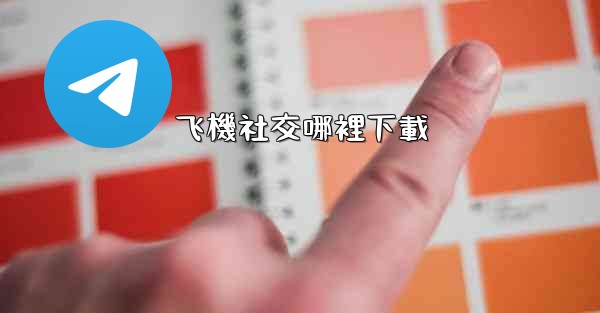 飞機社交哪裡下載