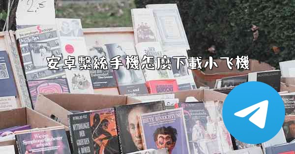 安卓繫統手機怎麼下載小飞機