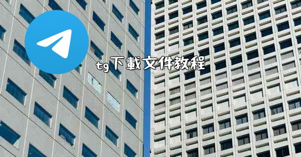 tg下載文件教程