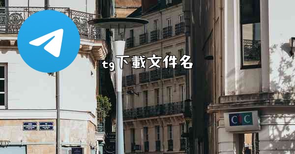 tg下載文件名