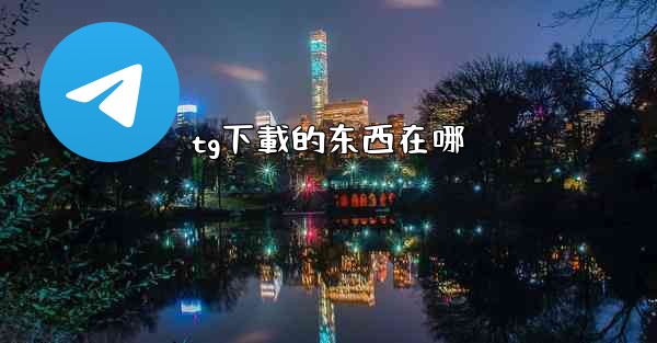 tg下載的东西在哪