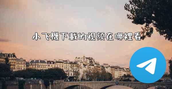小飞機下載的视频在哪裡看