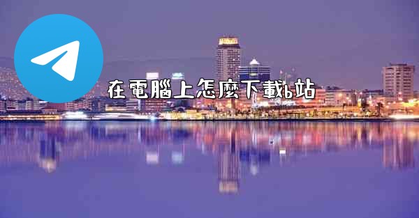 在電腦上怎麼下載b站