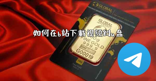 如何在b站下載视频到u盘