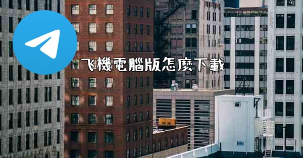 飞機電腦版怎麼下載
