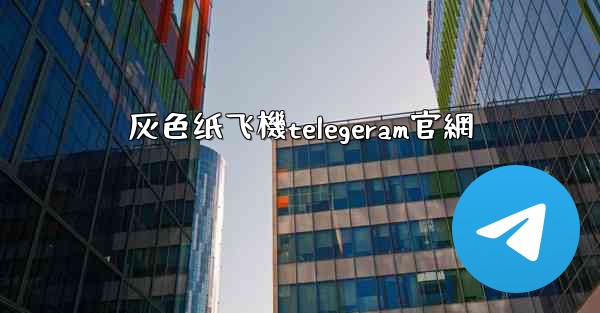 灰色纸飞機telegeram官網