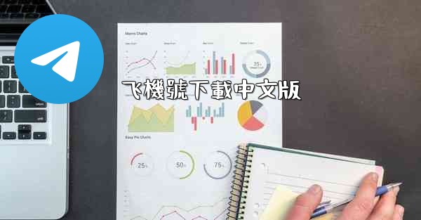 飞機號下載中文版