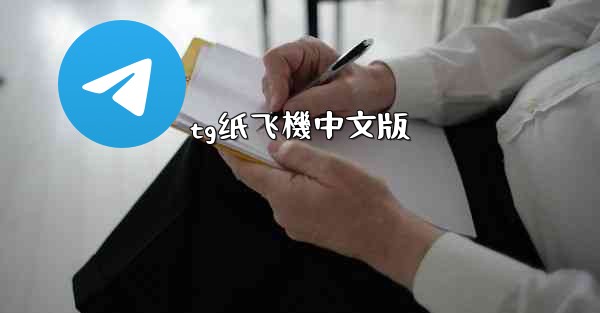 tg纸飞機中文版