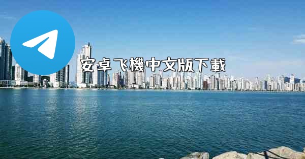 安卓飞機中文版下載