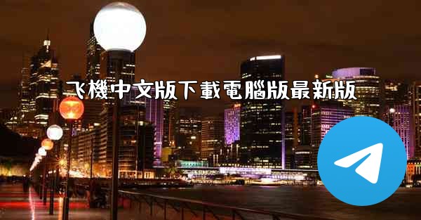 飞機中文版下載電腦版最新版