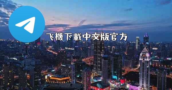 飞機下載中文版官方