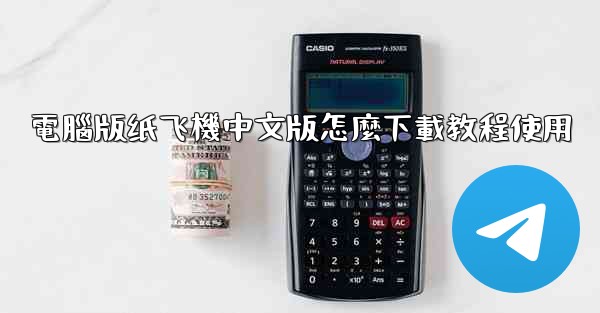電腦版纸飞機中文版怎麼下載教程使用