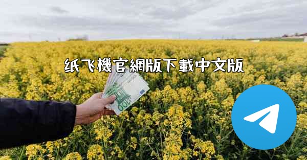 纸飞機官網版下載中文版