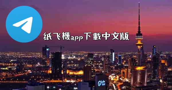 纸飞機app下載中文版