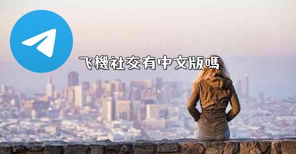 飞機社交有中文版嗎
