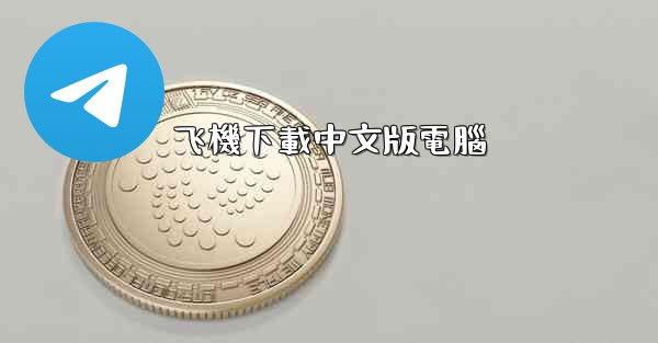 飞機下載中文版電腦