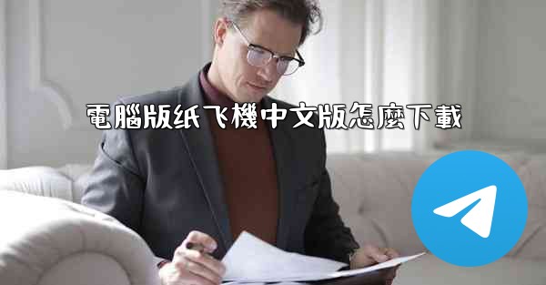 電腦版纸飞機中文版怎麼下載