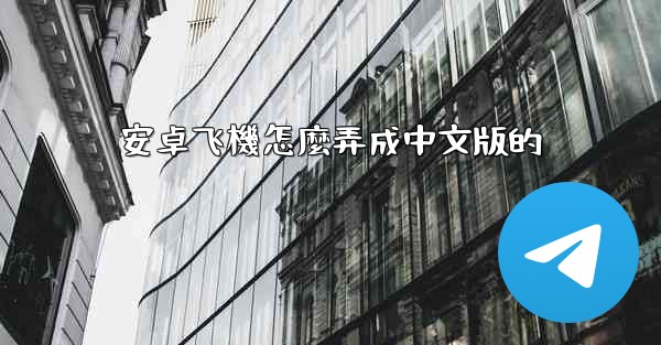 安卓飞機怎麼弄成中文版的