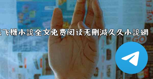 纸飞機小說全文免费阅读无刪減久久小說網