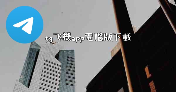 tg飞機app電腦版下載