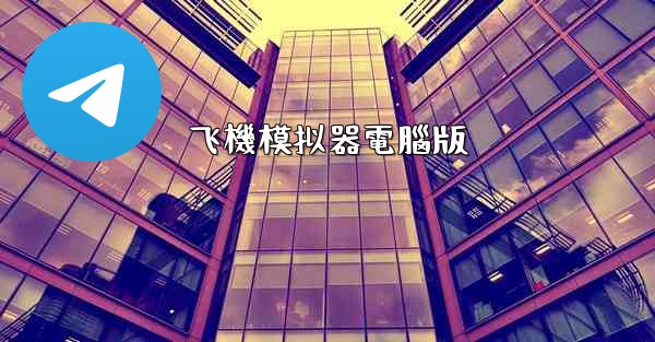 飞機模拟器電腦版