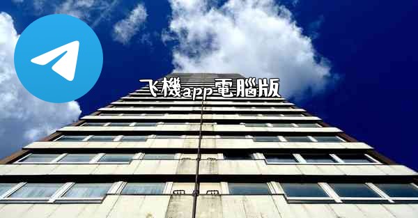 飞機app電腦版