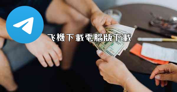 飞機下載電腦版下載