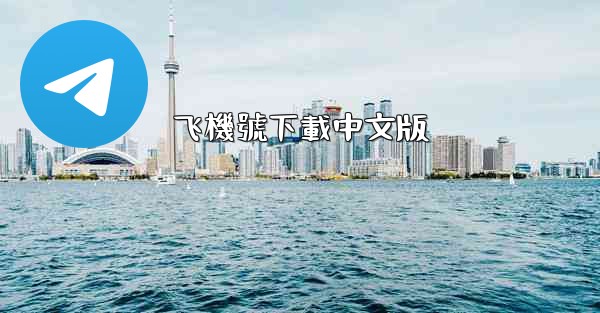 飞機號下載中文版