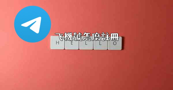 飞機號怎麼註冊