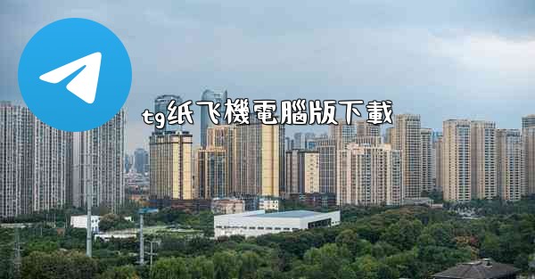tg纸飞機電腦版下載