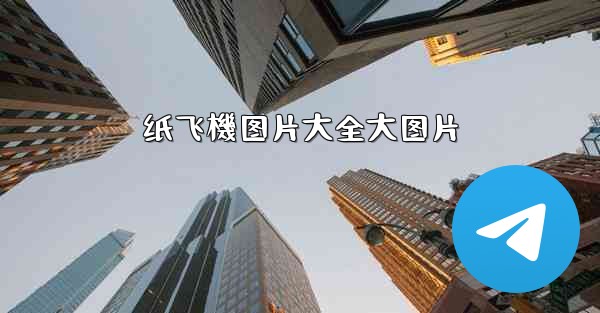 纸飞機图片大全大图片