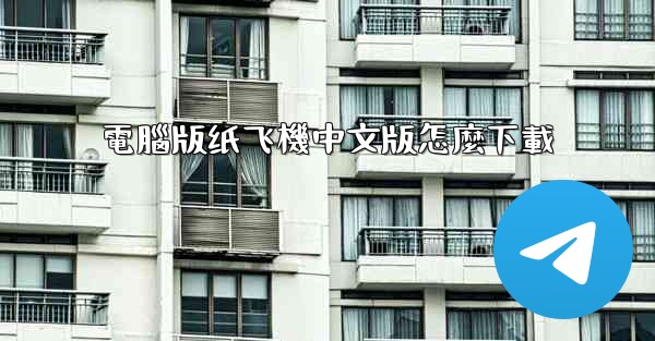 電腦版纸飞機中文版怎麼下載